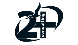 logo 2 consulting